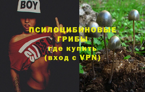 MESCALINE Алексеевка