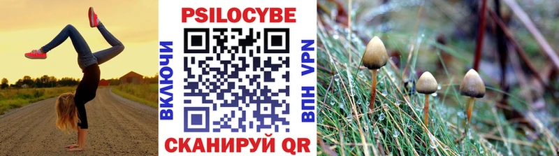 продажа наркотиков  Ивангород  Псилоцибиновые грибы Magic Shrooms 