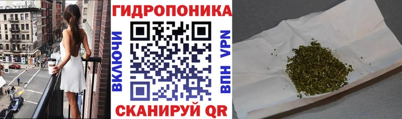 где купить наркоту  ссылка на мегу ССЫЛКА  Шишки марихуана Ganja  Ивангород 